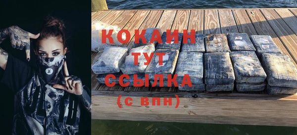 стаф Вяземский