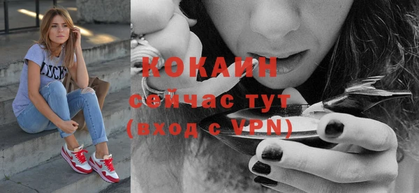 стаф Вяземский