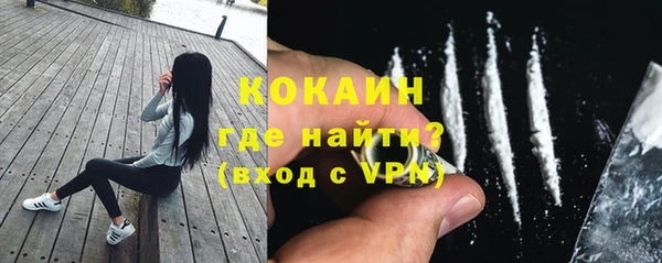 стаф Вяземский