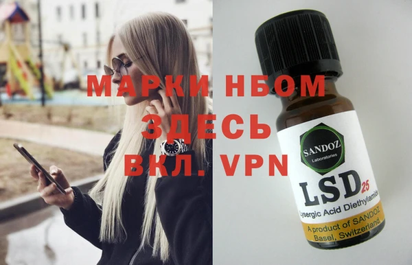 стаф Вяземский