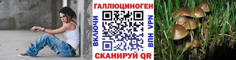 Галлюциногенные грибы MAGIC MUSHROOMS  Купить  Тобольск 